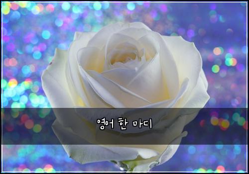 영어 한 마디