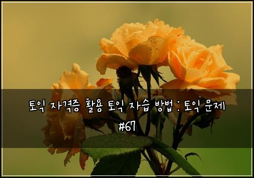 토익 자격증 활용 토익 자습 방법 : 토익 문제 #67