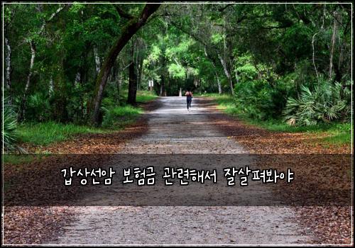 갑상선암 보험금 관련해서 잘살펴봐야