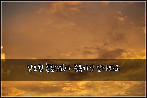 ์๋ณดํ ๋์น ์์๋ค ์ค๋ณต๊ฐ์
์์๋ด์