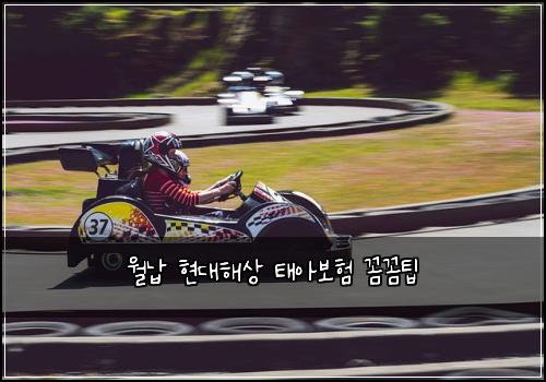 월납 현대해상 태아보험 꼼꼼팁 