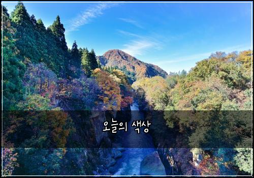 오늘의 색상