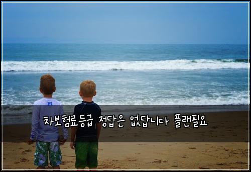 차보험료등급 정답은 없답니다 플랜필요