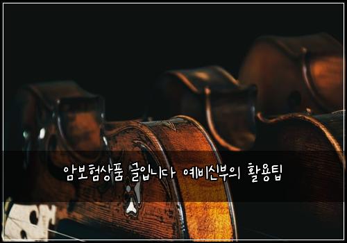 암보험상품 글입니다 예비신부의 활용팁