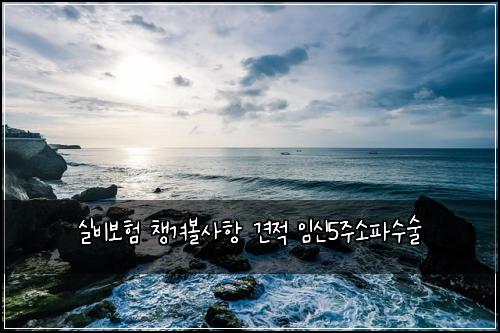 실비보험 챙겨볼사항  견적 임신5주소파수술
