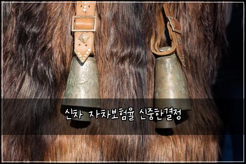 ์ ์ฐจ ์์ฐจ๋ณดํ์จ ์ ์คํ๊ฒฐ์ 