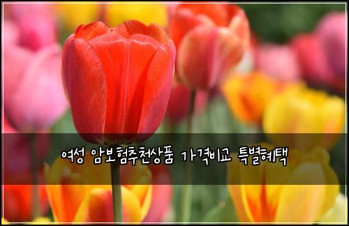 ์ฌ์ฑ ์๋ณดํ์ถ์ฒ์ํ ๊ฐ๊ฒฉ๋น๊ต ํน๋ณํํ