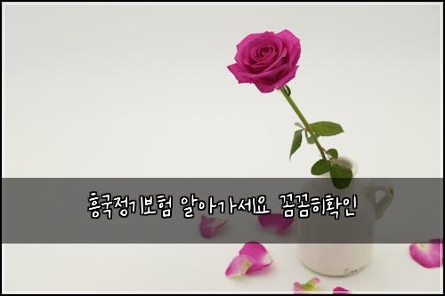 ํฅ๊ตญ์ ๊ธฐ๋ณดํ ์์๊ฐ์ธ์ ๊ผผ๊ผผํํ์ธ