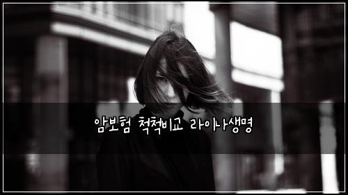 ์๋ณดํ ์ฒ์ฒ๋น๊ต ๋ผ์ด๋์๋ช