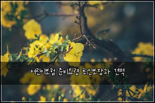 어린이보험 준비요령  최신보장과 견적