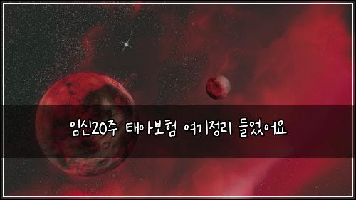 임신20주 태아보험 여기정리  들었어요