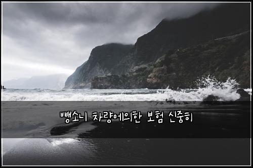 뺑소니 차량에의한 보험 신중히 