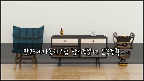 만25세자동차보험 합리적설계  신속정확