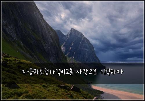 자동차보험가격비교몰 사랑으로 기억하자
