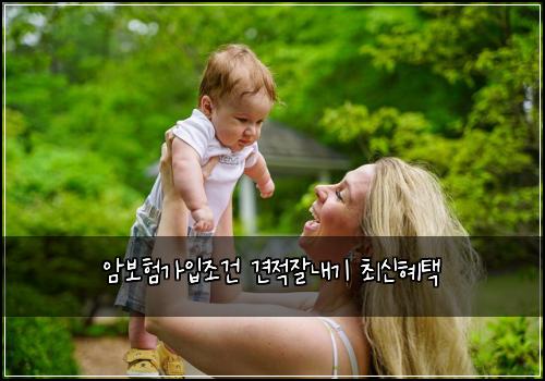 암보험가입조건 견적잘내기 최신혜택