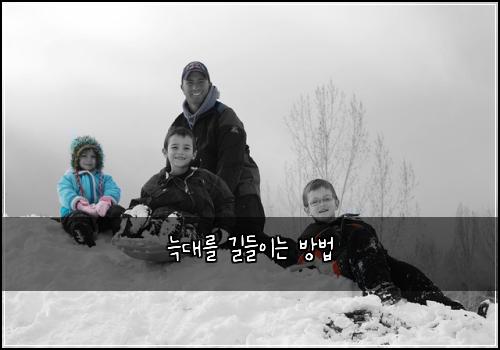 늑대를 길들이는 방법