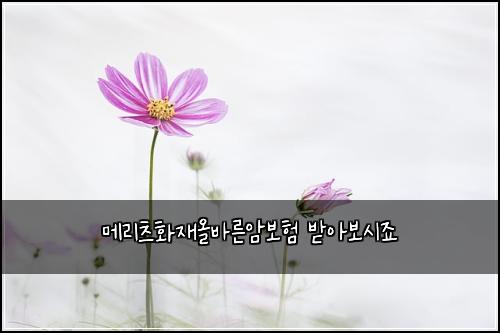 메리츠화재올바른암보험 받아보시죠 