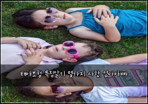 태아보험 특징알기  몇가지 사항 엄마아빠