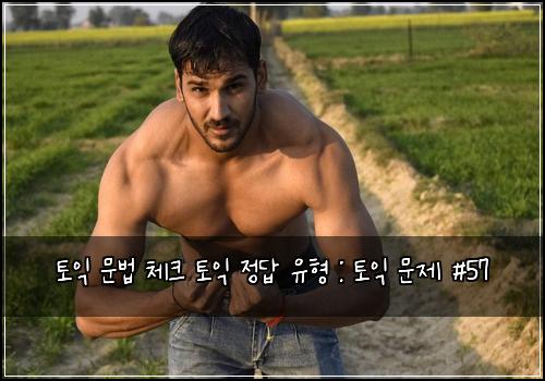 토익 문법 체크 토익 정답 유형 : 토익 문제 #57