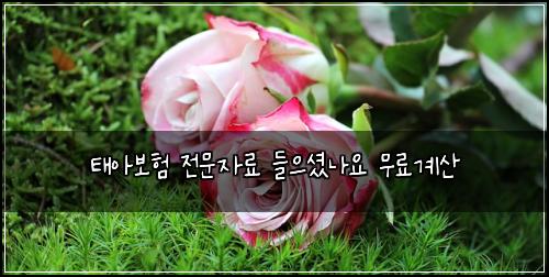 ํ์๋ณดํ ์ ๋ฌธ์๋ฃ ๋ค์ผ์
จ๋์ ๋ฌด๋ฃ๊ณ์ฐ