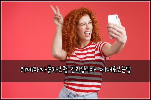 외제차자동차보험 진리입니다  제대로보는법