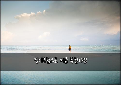 정기보험으로 지금 추천가입