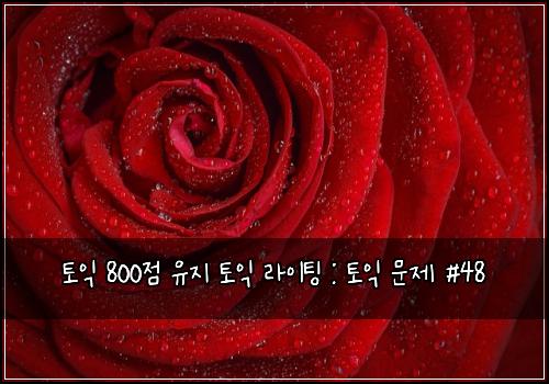 토익 800점 유지 토익 라이팅 : 토익 문제 #48