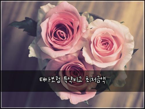 ํ์๋ณดํ ํน์ฝ๋น๊ต ์ต์ ๊ธ์ก