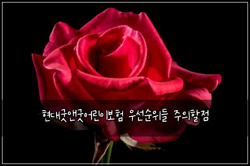 현대굿앤굿어린이보험 우선순위들  주의할점