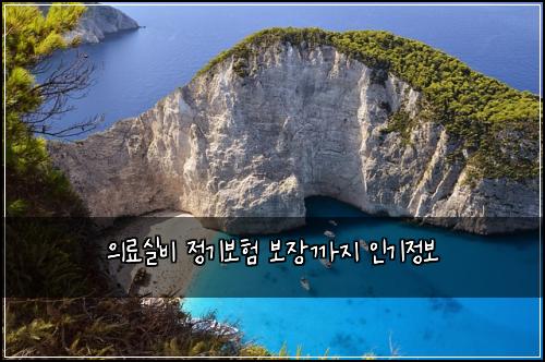 의료실비 정기보험 보장까지  인기정보