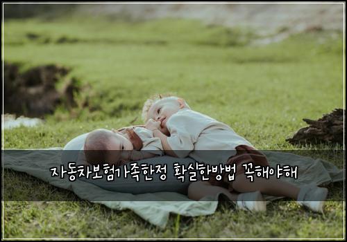 자동차보험가족한정 확실한방법 꼭해야해