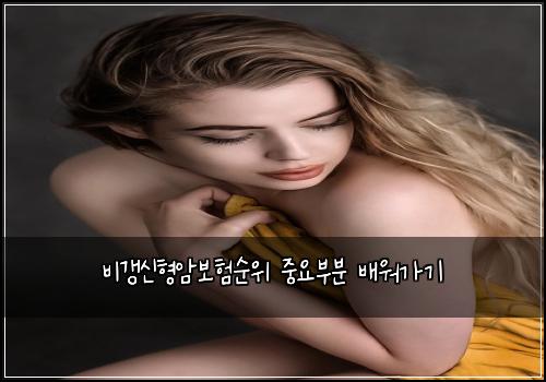 비갱신형암보험순위 중요부분 배워가기