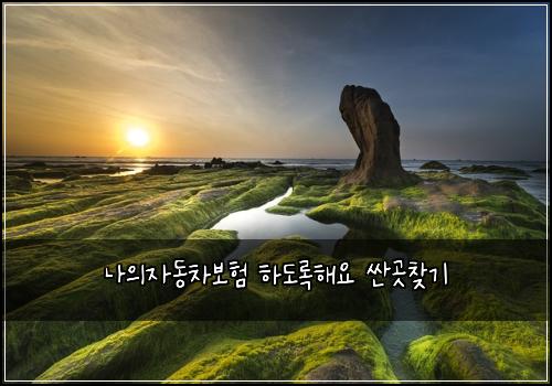 나의자동차보험 하도록해요  싼곳찾기