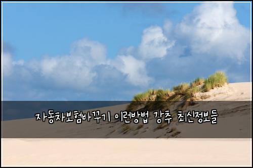 자동차보험바꾸기 이런방법 강추 최신정보들