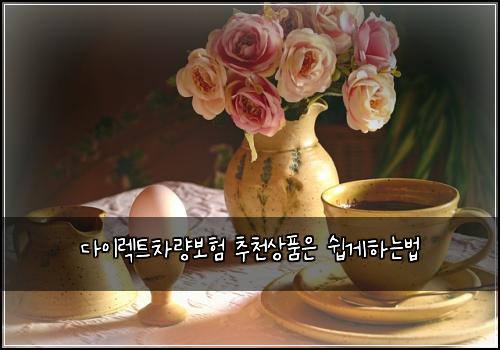 다이렉트차량보험 추천상품은  쉽게하는법