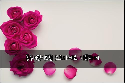 동부어린이보험 보고가세요  기특하게