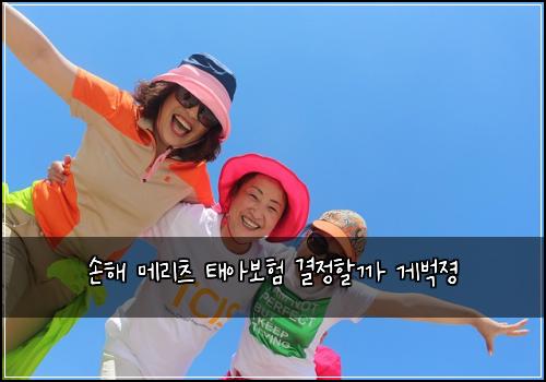 손해 메리츠 태아보험 결정할까  게벅졍