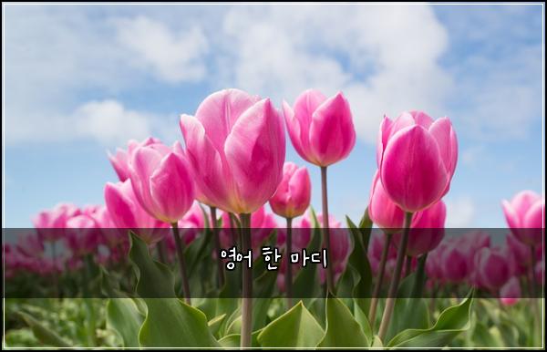 ์์ด ํ ๋ง๋