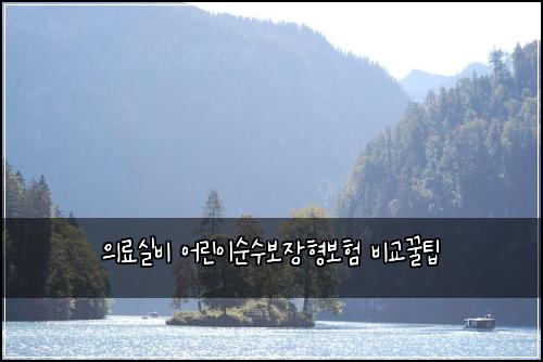 의료실비 어린이순수보장형보험 비교꿀팁 
