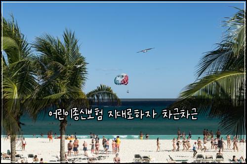 ์ด๋ฆฐ์ด์ข
์ ๋ณดํ ์ง๋๋กํ์ ์ฐจ๊ทผ์ฐจ๊ทผ