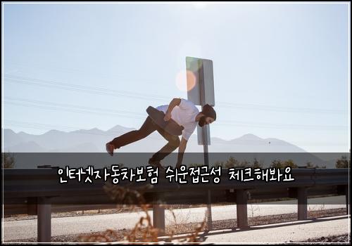 인터넷자동차보험 쉬운접근성  체크해봐요