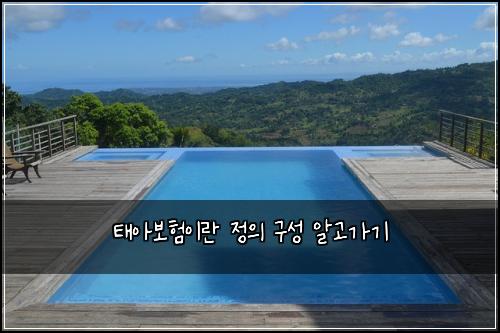 태아보험이란 정의 구성 알고가기