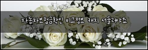 ์๋์ฐจ๋ณดํ๊ธํ์ธ ๋น๊ต์ ๋ณด ์บ์น ์๋๋ฌ์ผ์ฃ
