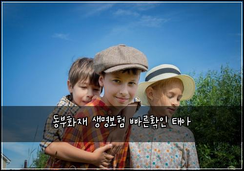 동부화재 생명보험 빠른확인  태아