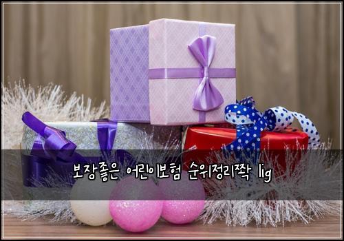 보장좋은 어린이보험 순위정리쫙  lig