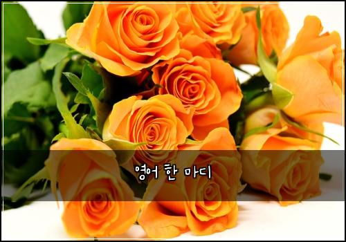 영어 한 마디