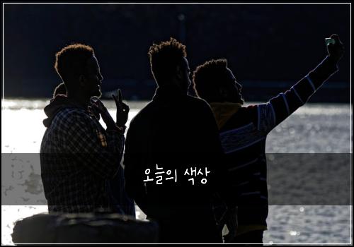 오늘의 색상