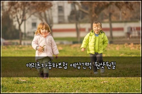 ๋งค๋ฆฌ์ธ ์๋์ฐจ๋ณดํ ์์๊ฒฌ์ ์์ท์ํฌ