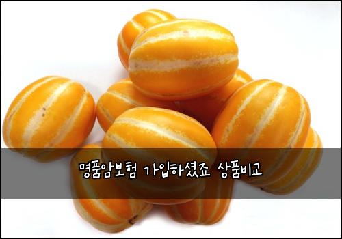 명품암보험 가입하셨죠  상품비교