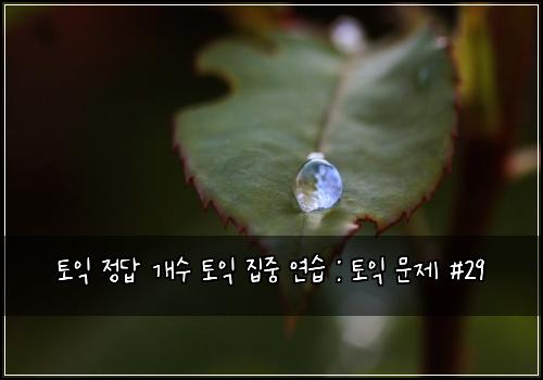 토익 정답 개수 토익 집중 연습 : 토익 문제 #29